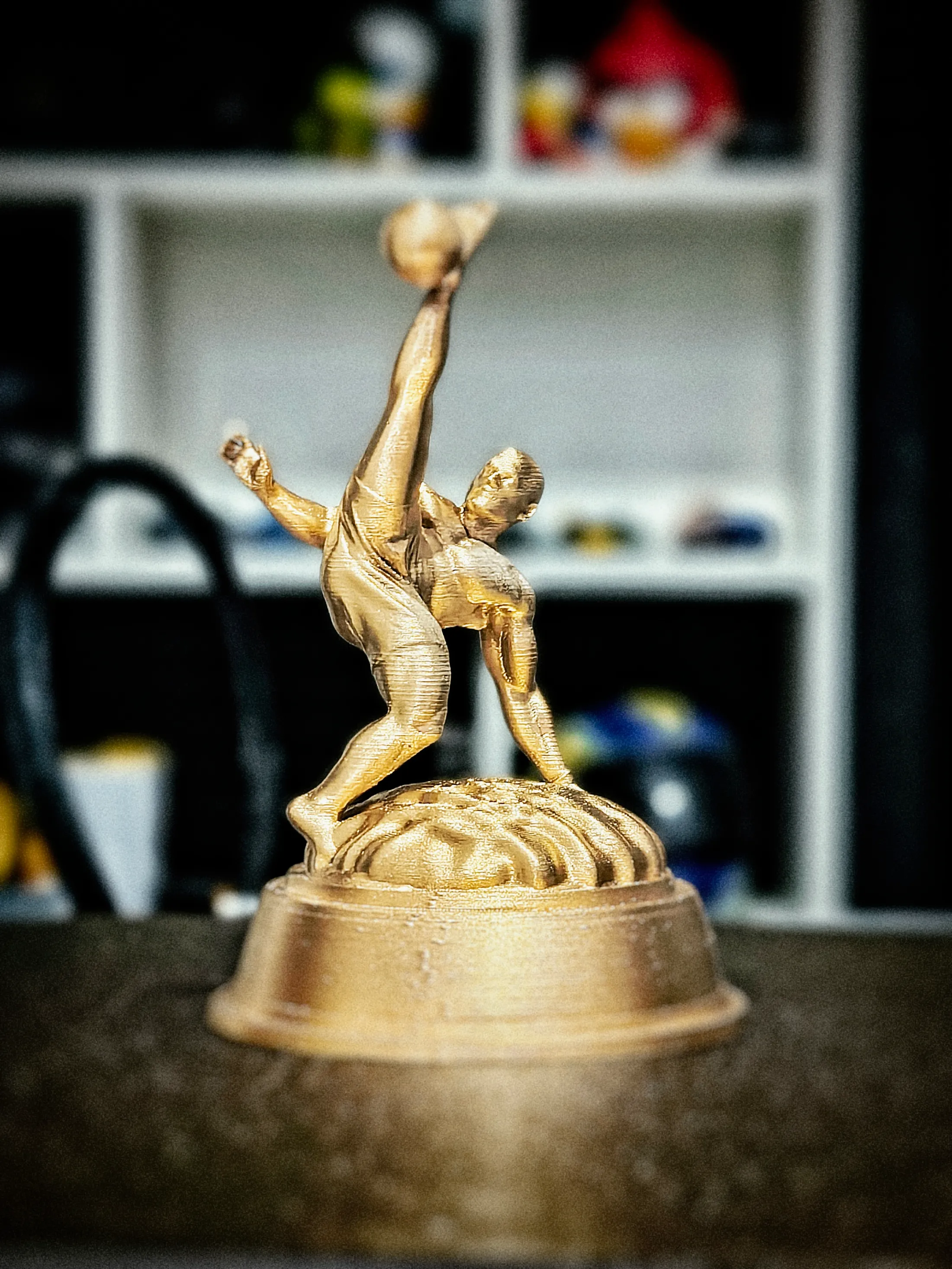 Troféus para toda modalidade.